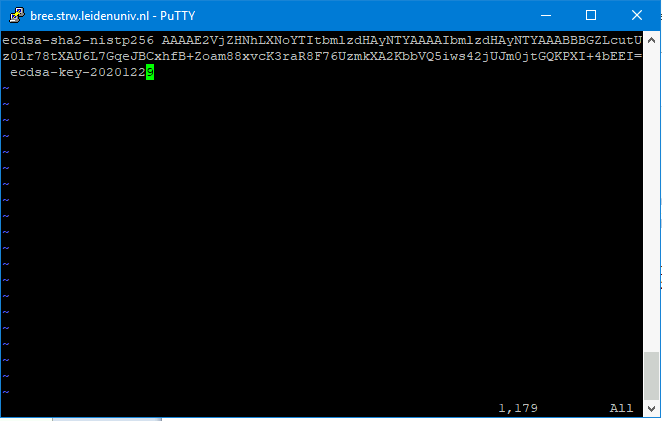 putty12.png